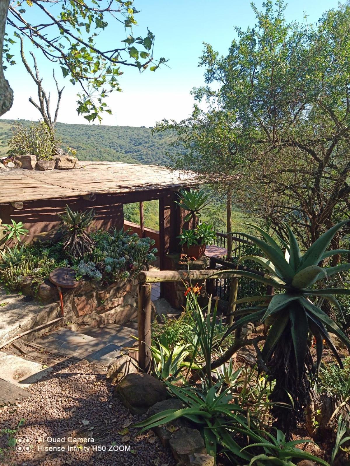 Leopards And Louries Bush Lodge Camperdown Esterno foto